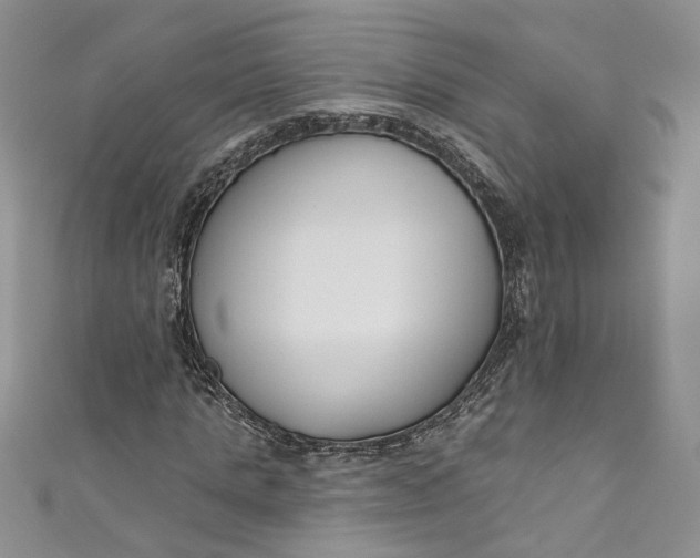X0000110900821200907021536
