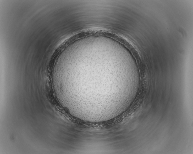 X0000110900823200907021536