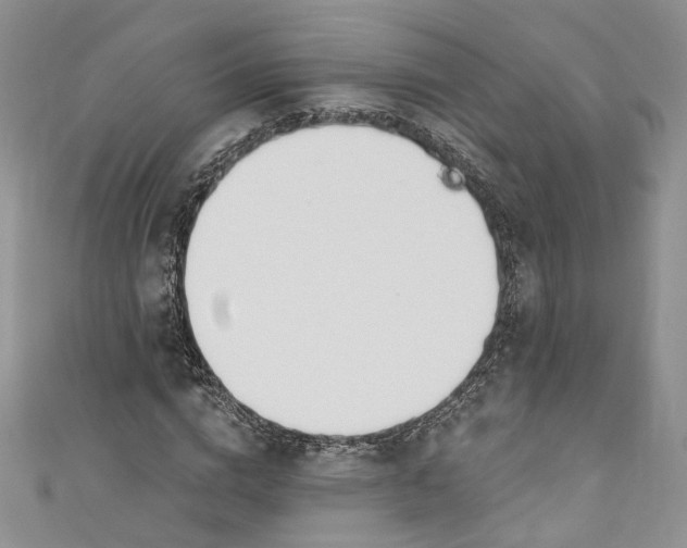 X0000110900824200907021536