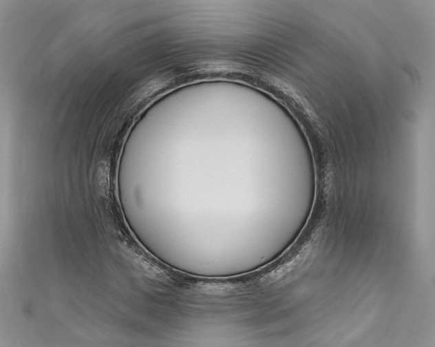 X0000110900825200907021536