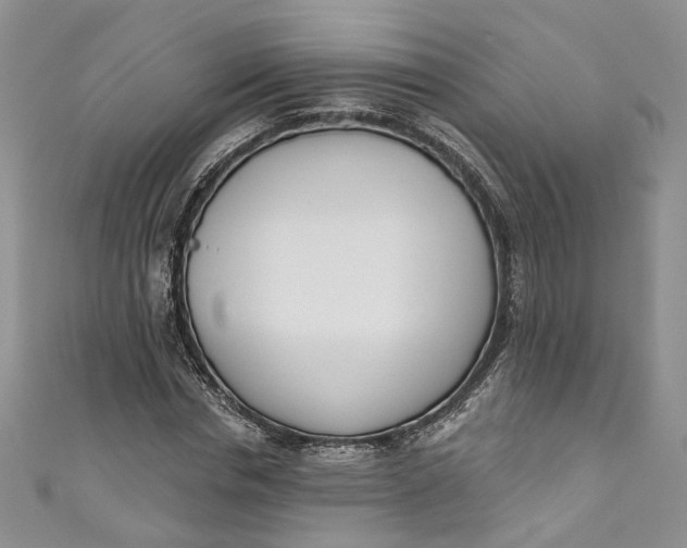 X0000110900826200907021536