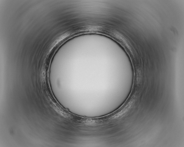 X0000110900827200907021536
