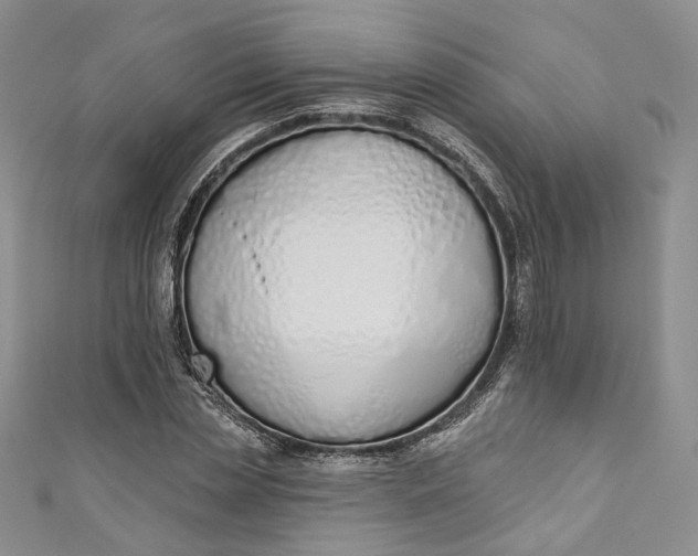 X0000110900829200907021536