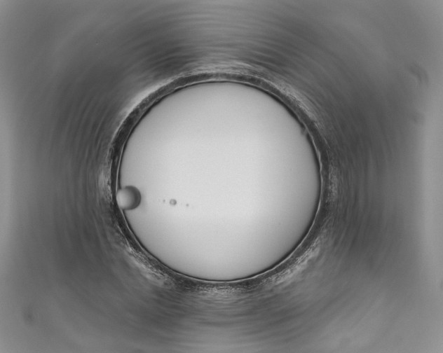 X0000110900830200907021536