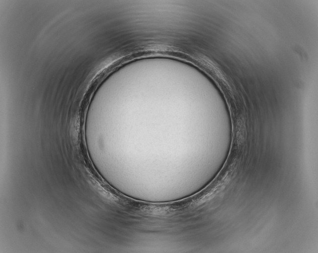 X0000110900831200907021536