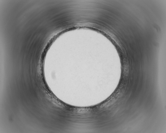 X0000110900832200907021536