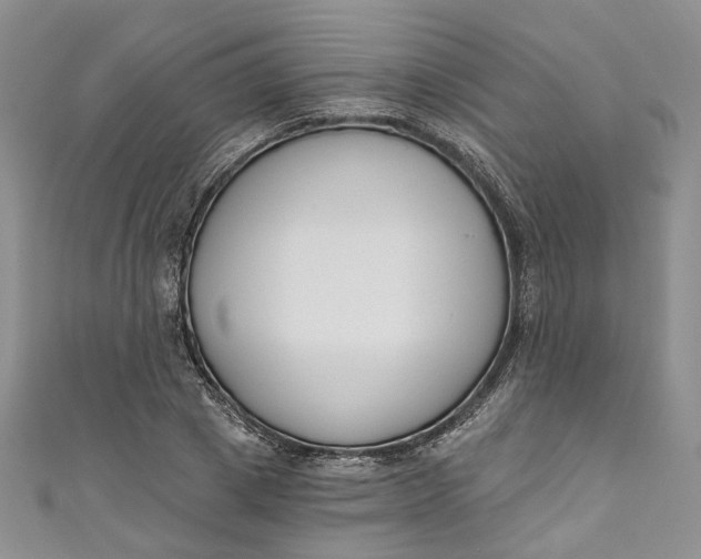 X0000110900833200907021536