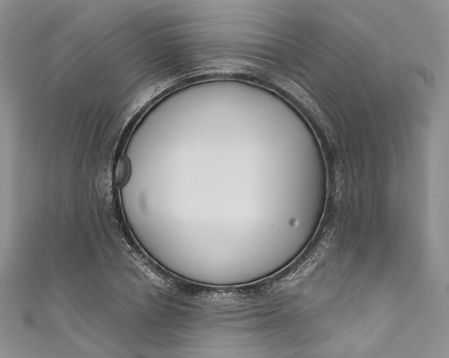 X0000110900834200907021536