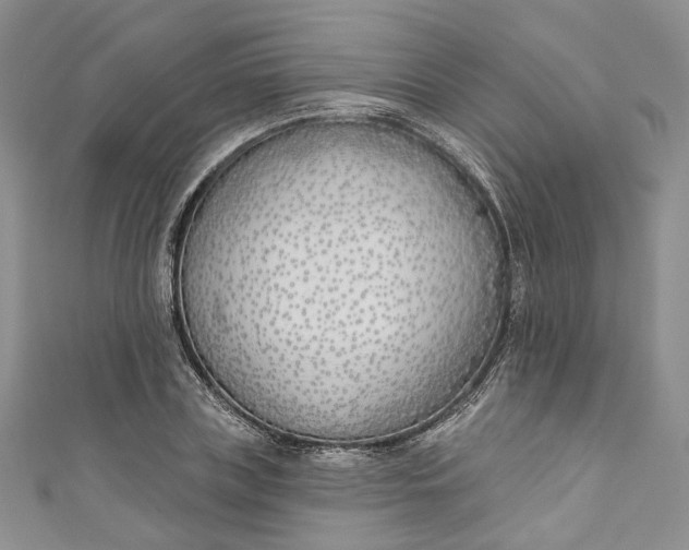 X0000110900835200907021536