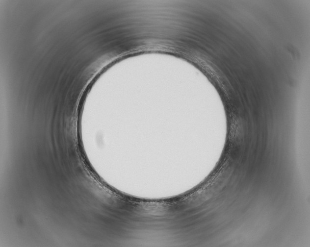 X0000110900836200907021536