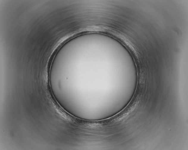 X0000110900837200907021536
