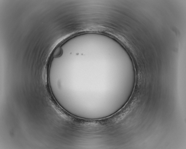 X0000110900838200907021536