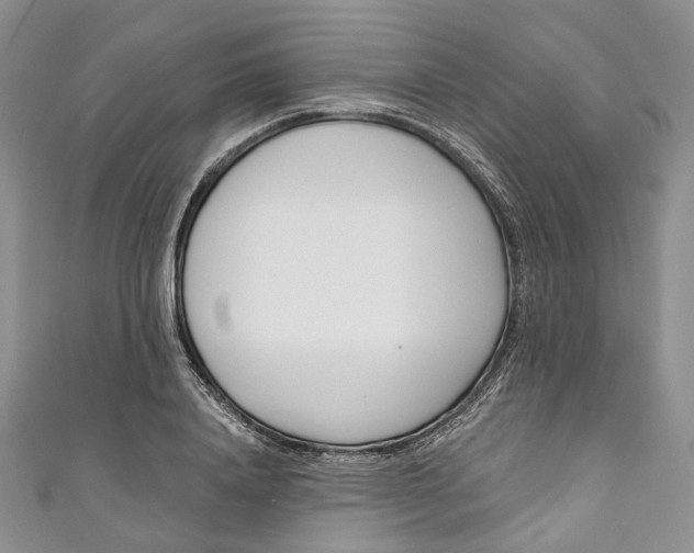 X0000110900840200907021536