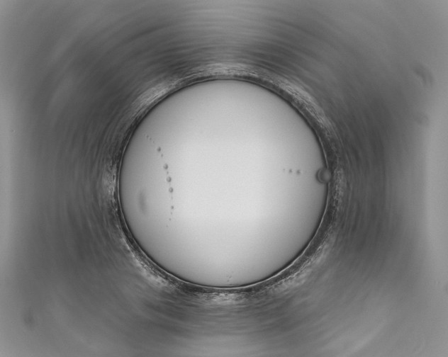X0000110900841200907021536