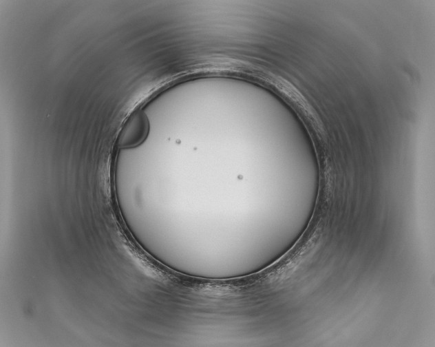 X0000110900842200907021536