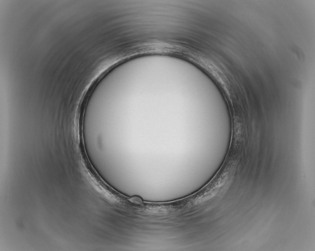X0000110900843200907021536