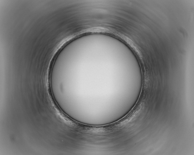X0000110900845200907021536