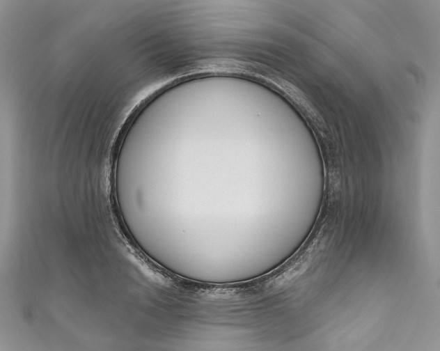 X0000110900846200907021536