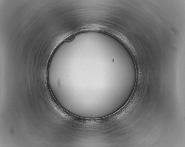 X0000110900850200907021536