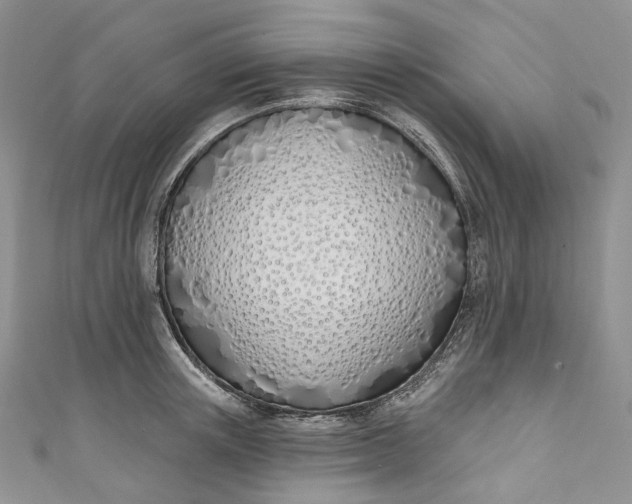 X0000110900851200907021536