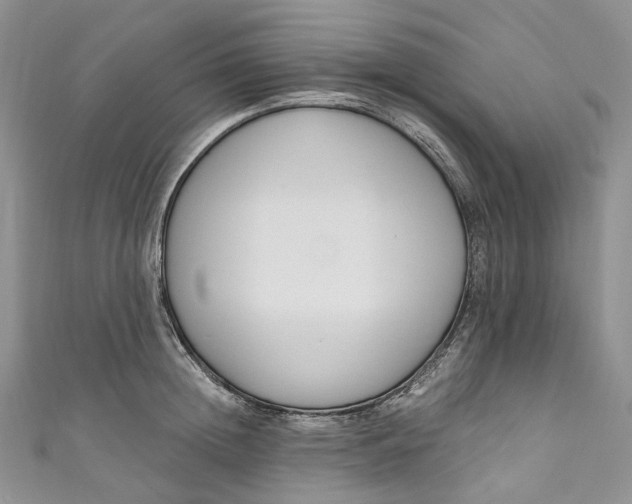 X0000110900852200907021536