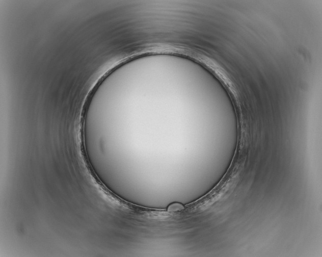 X0000110900853200907021536
