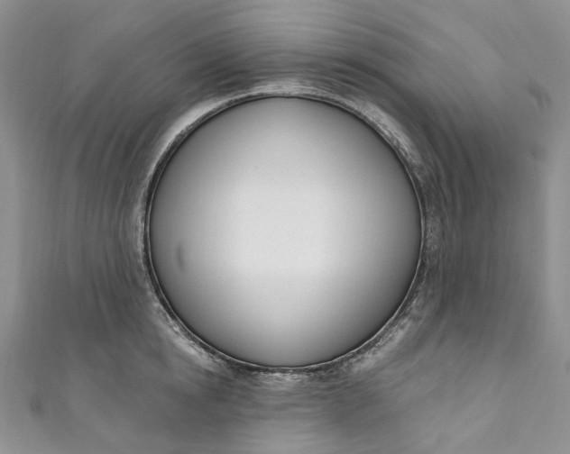 X0000110900854200907021536
