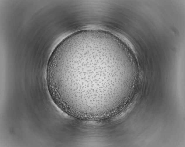 X0000110900855200907021536