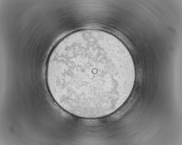X0000110900856200907021536
