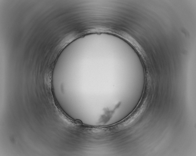 X0000110900857200907021536