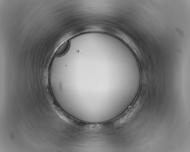 X0000110900858200907021536