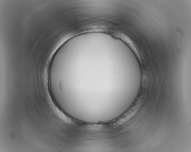 X0000110900859200907021536