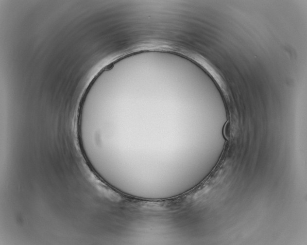X0000110900861200907021536