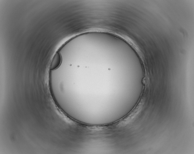 X0000110900862200907021536