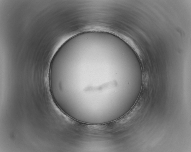 X0000110900863200907021536