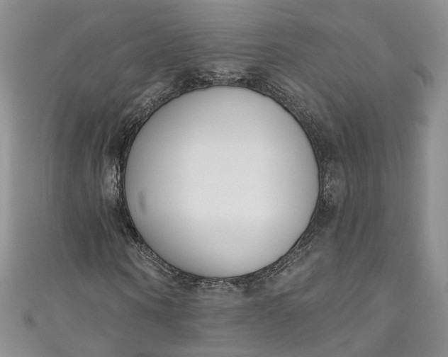 X0000110900866200907021535