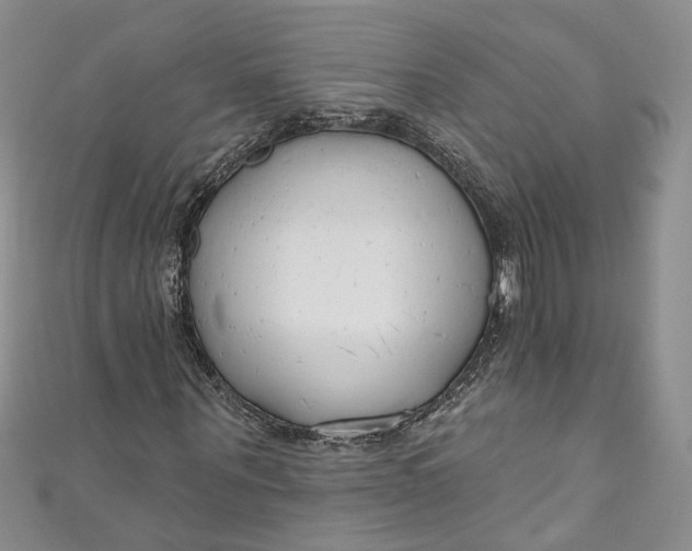 X0000110900867200907021535