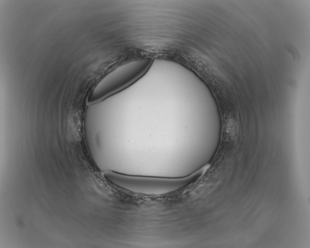X0000110900868200907021535