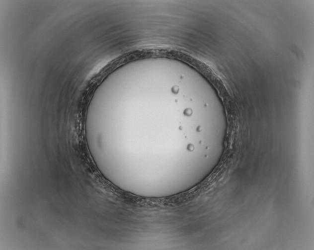 X0000110900871200907021535