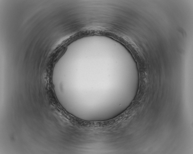 X0000110900872200907021535