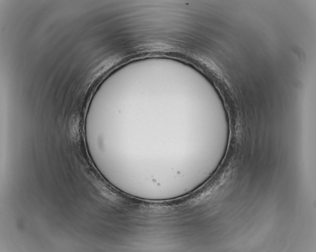X0000110900873200907021535