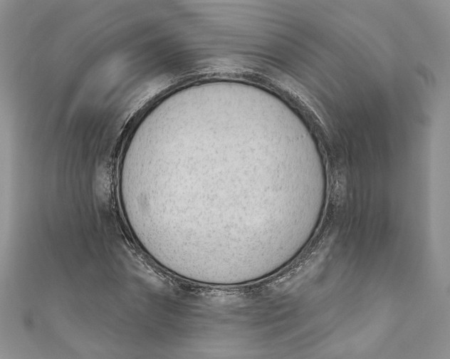 X0000110900874200907021535