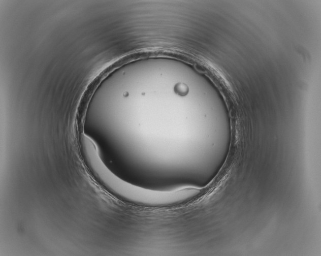 X0000110900876200907021535