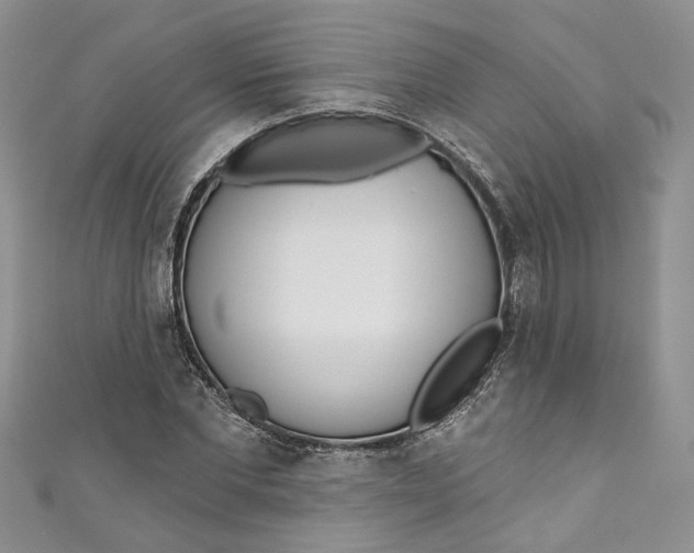 X0000110900877200907021535