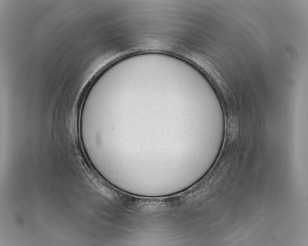 X0000110900886200907021535