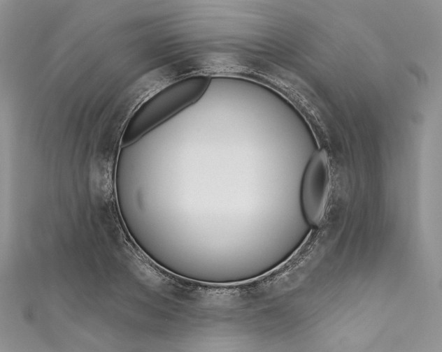 X0000110900889200907021535