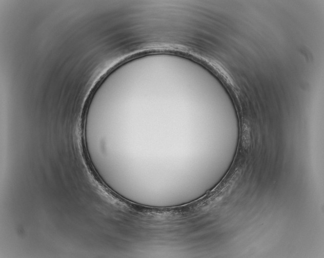 X0000110900895200907021535