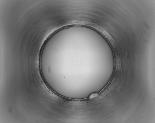 X0000110900896200907021535