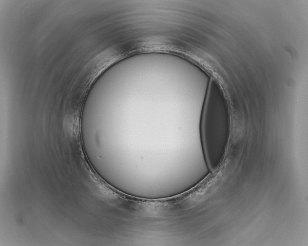 X0000110900897200907021535