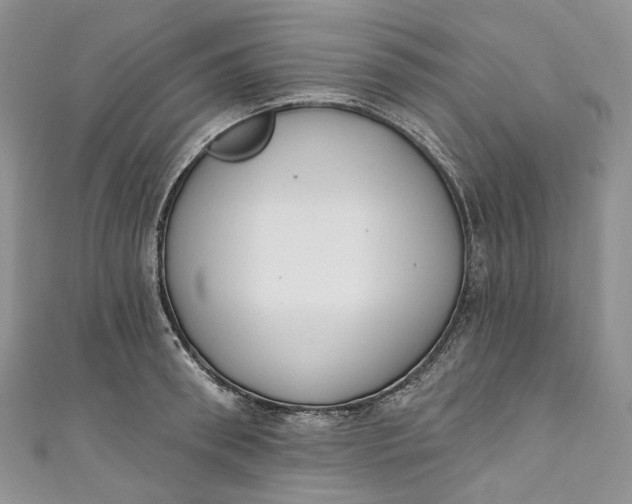 X0000110900898200907021535